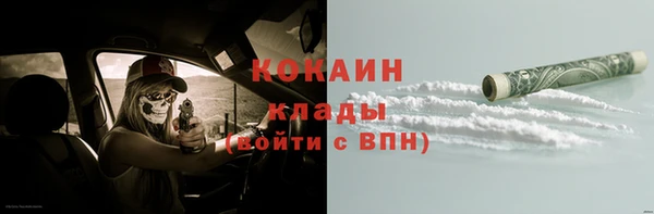 сатива Богородицк