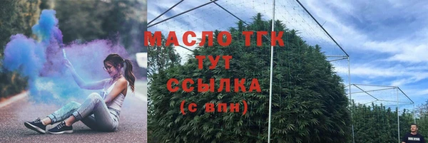 хмурый Снежногорск