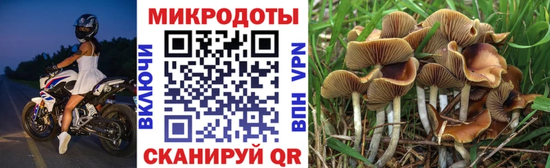 Галлюциногенные грибы мицелий Наволоки